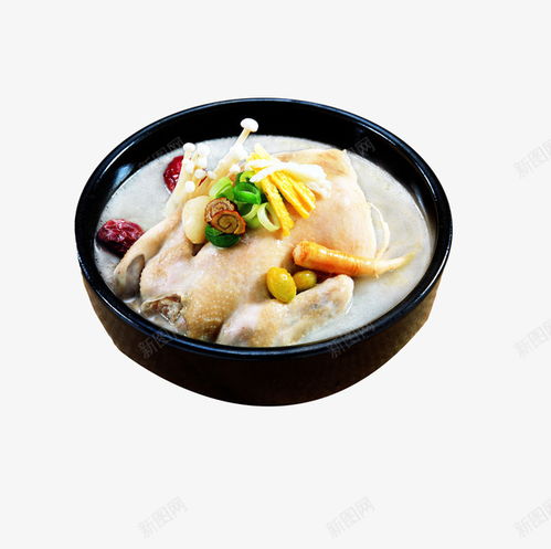 美食設(shè)計(jì)新焦點(diǎn) 老母雞湯免摳PNG素材，賦能餐飲與電商創(chuàng)意